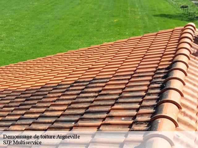 Demoussage de toiture  aigneville-80210 SJP Multiservice