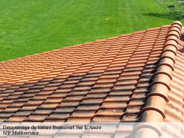 Demoussage de toiture  beaucourt-sur-l-ancre-80300 SJP Multiservice