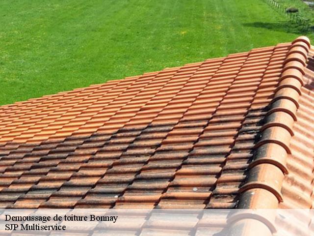 Demoussage de toiture  bonnay-80800 SJP Multiservice