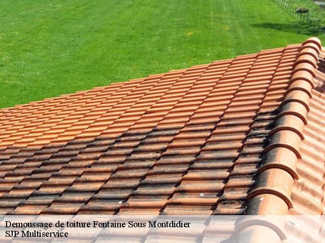 Demoussage de toiture  fontaine-sous-montdidier-80500 SJP Multiservice