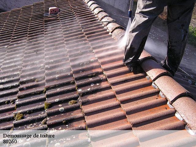 Demoussage de toiture 80260