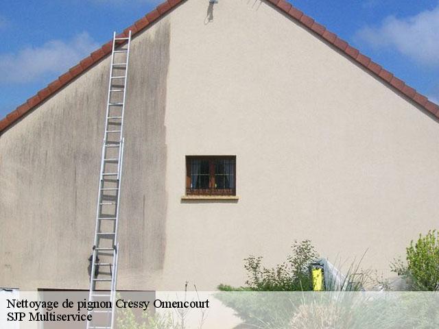 Nettoyage de pignon  cressy-omencourt-80190 ST habitat