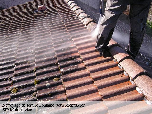 Nettoyage de toiture  fontaine-sous-montdidier-80500 SJP Multiservice